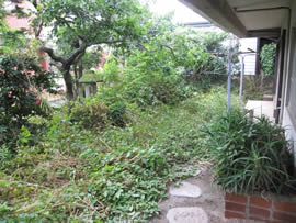 Ｓ邸の剪定作業