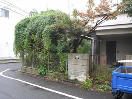 Ｓ邸の剪定作業