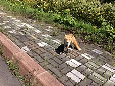 北海道夕張にて