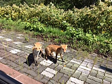 北海道夕張にて