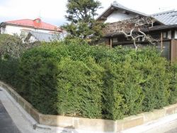 世田谷S邸庭改修工事