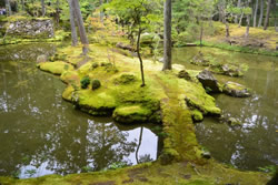 京都研修 拝観した庭