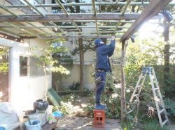 藤棚修理　修理中