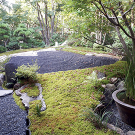 三鷹市　B邸の庭