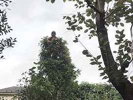 上用賀・作業中