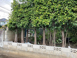 既存ブロック塀撤去作業