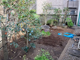 目黒区K館 庭園改修工事 作業開始①