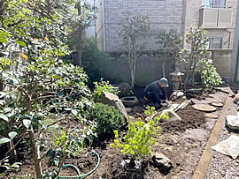 目黒区K館 庭園改修工事 作業開始①