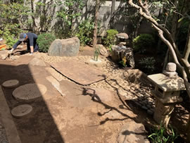 目黒区K館 庭園改修工事 作業開始②