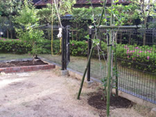 マンション専有庭　工事後