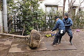 Ｍ邸・植栽風景