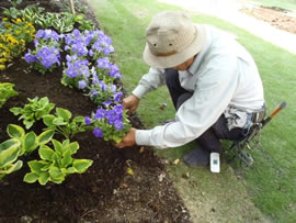 Ｍ邸・花植え作業
