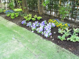 Ｍ邸・花植え作業