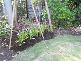 Ｍ邸・花植え作業