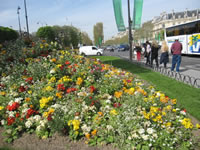 チュイルリー庭園